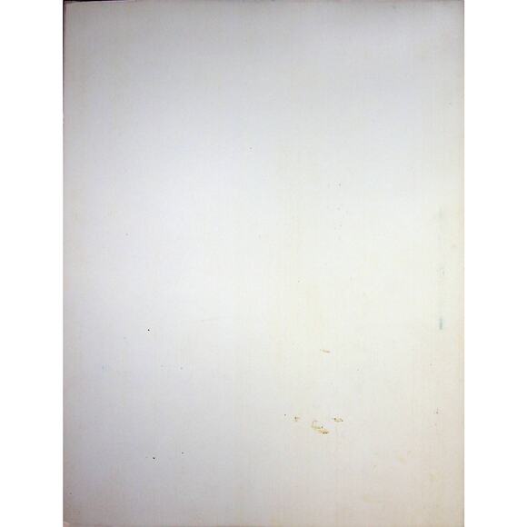 1965 Kagnew Medical Bulletin Humorous Dinner Menu US 7th Infantry Ethiopia Korea - Picture 7 of 7